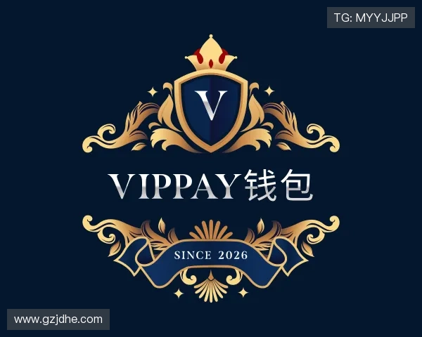 了解VipPay钱包